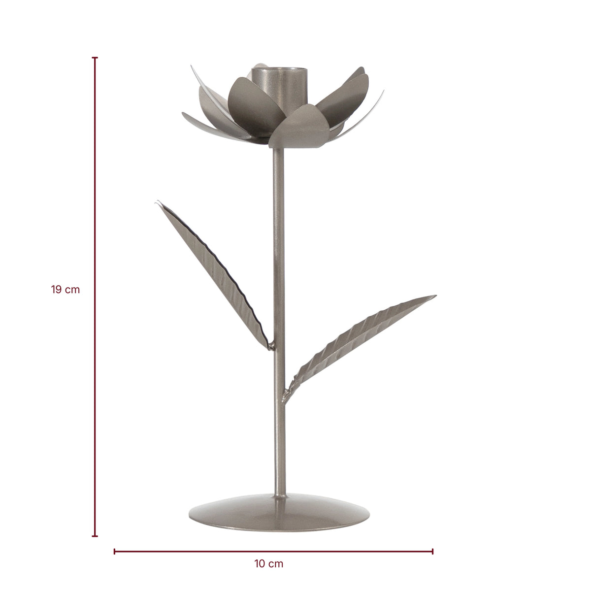 Shama Bloom 3
