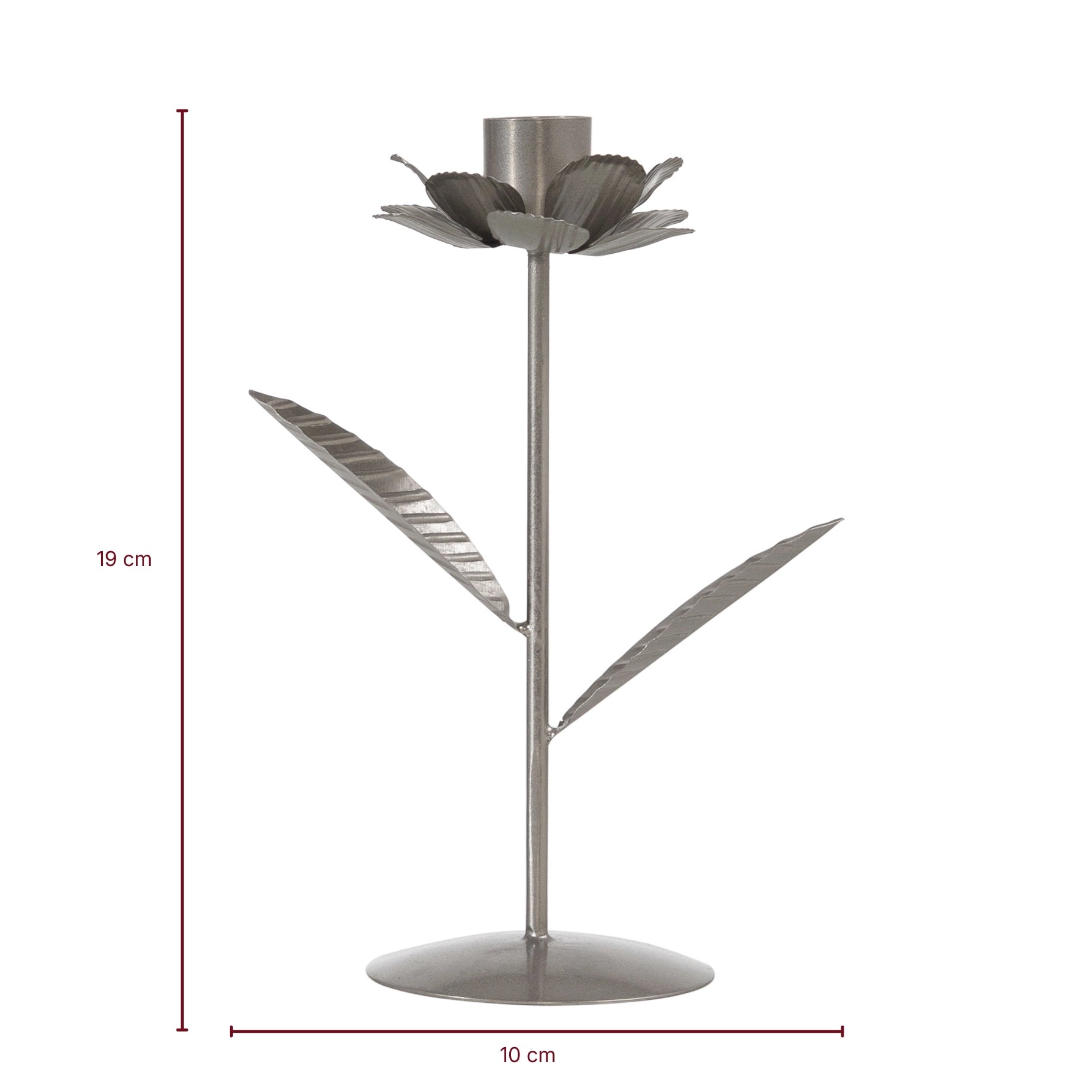 Shama Bloom 3